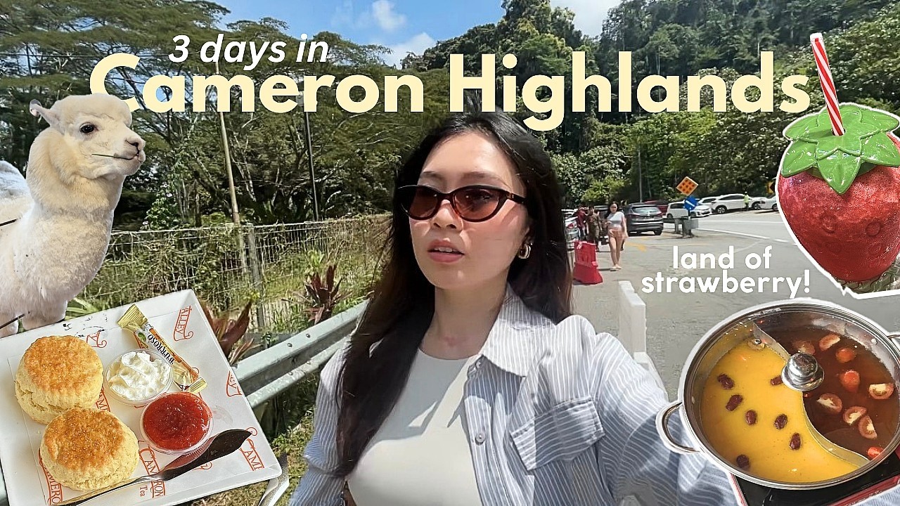 🇲🇾72 Hours in Cameron Highlands 🍵🍓going offline, healthy steamboat + late night deep convos