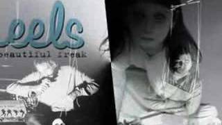 THE EELS - RAILROAD MAN