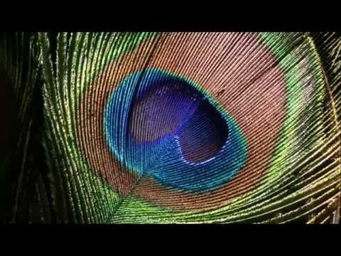 Intermittent Blur in Windows Movie Maker Solved