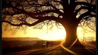 Robert Pollard - It&#39;s Easy