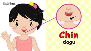 Download lagu Belajar Bahasa Inggris Bagian Tubuh Manusia (Body Parts) mp3 Download lagu Belajar Bahasa Inggris Bagian Tubuh Manusia (Body Parts) mp3