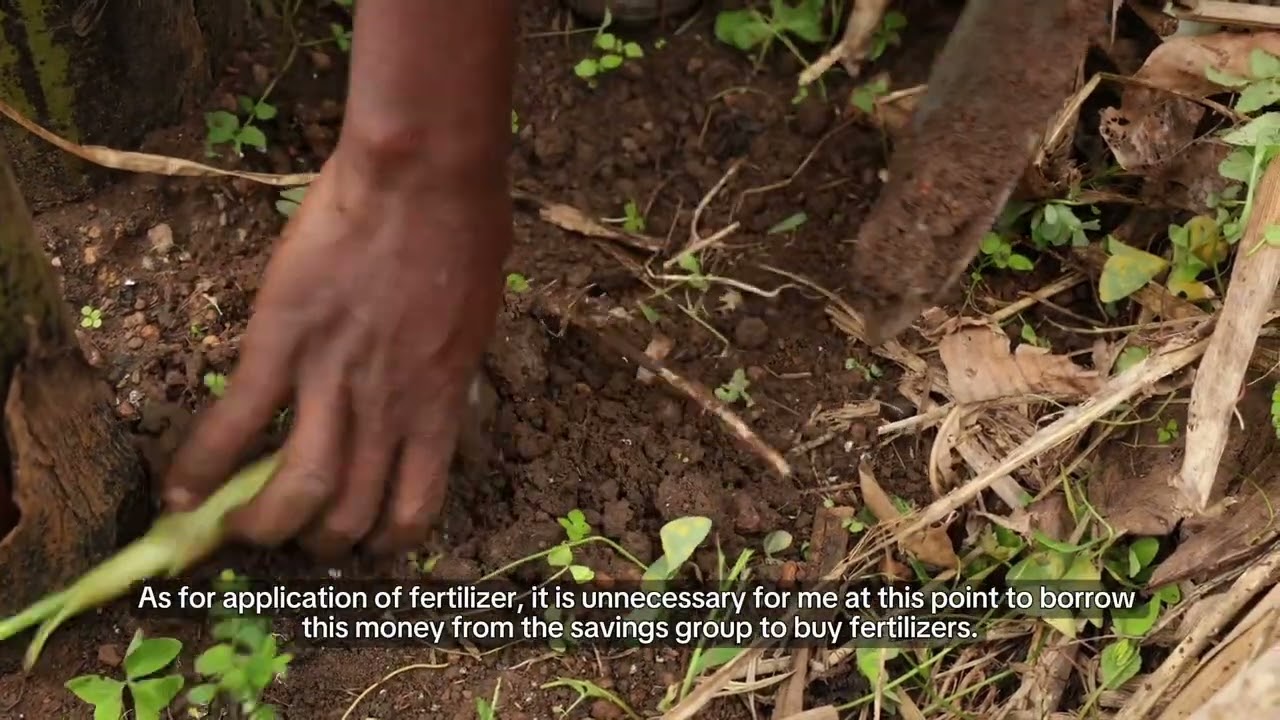 Replicating farming knowledge: Mathias Bukenya's story