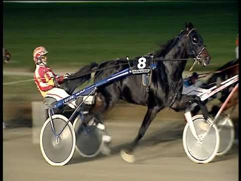 Trotto 29/11/2019 - 7ª corsa