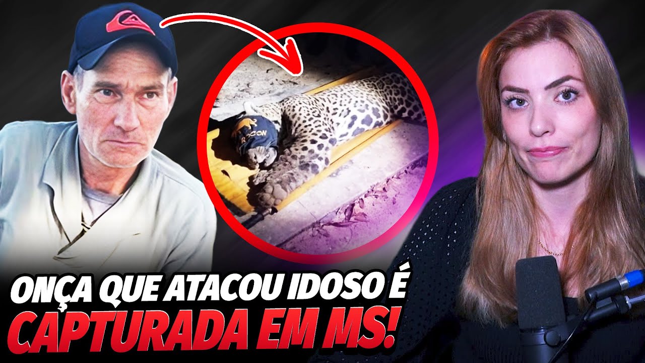 O QUE NÃO TE CONTARAM SOBRE O ATAQUE DA ONÇA PINTADA!