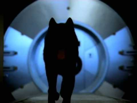 Chanel - Chanel N°5 - Estella Warren - Little Red Riding Hood