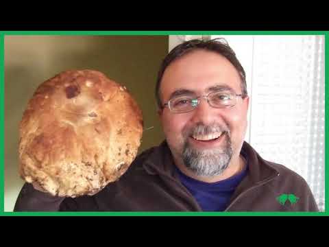 La festa sta per cominciare