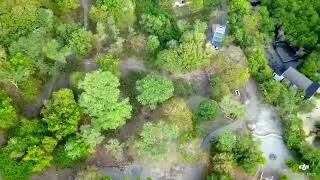 preview picture of video 'Mangrove & Forest at Menjangan, West Bali National Park'