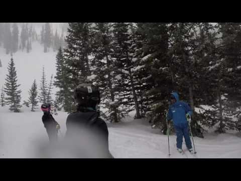 2017-03-25 02 Black Forest