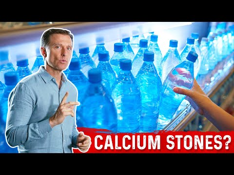 The Top SUPERFOODS for the Kidneys—Explained by Dr Berg