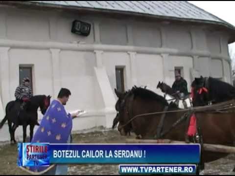 Botezul cailor la Serdanu !