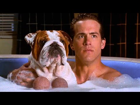 Top 5 National Lampoon Animal Scenes