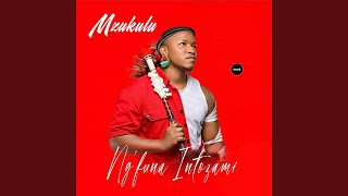Download lagu Thatha Mmeli (feat. Njabulo Langa & Godide) mp3
