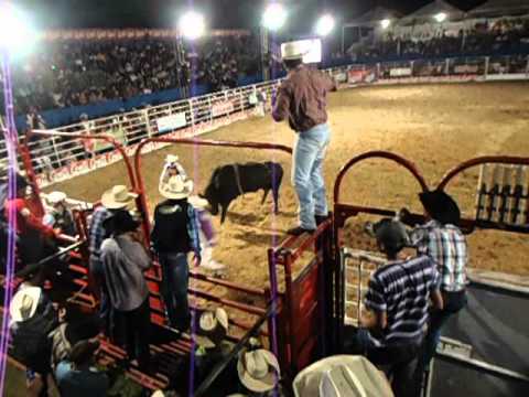boishowaovivo  montaria de ananias pereira em oscar bressane