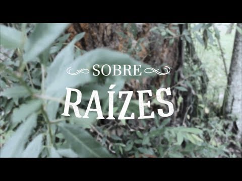 TEASER - SOBRE RAÍZES