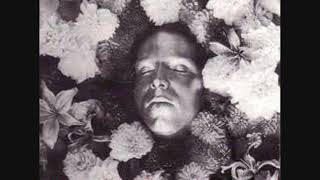 The Legendary Pink Dots ‎– The Lovers ~ full album