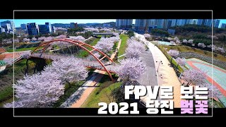 FPV로 보는 2021년 당진 벚꽃