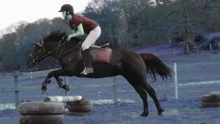 light into the darkness