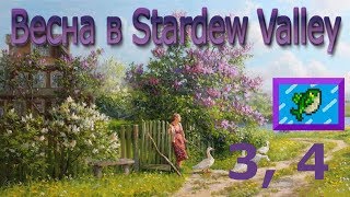 Stardew valley где поймать сома