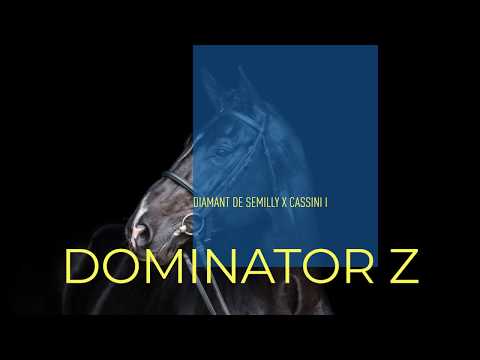 Dominator Z