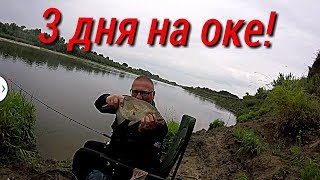 Рыболовные места в рязанской области
