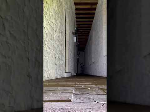 C'E' QUALCUNO IN FONDO AL CORRIDOIO #pitfamily #paranormal #creepy #paura #ghost #scary