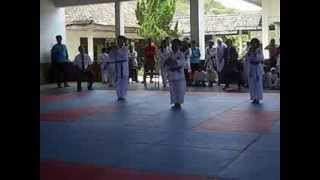 preview picture of video 'Alvin, Baihaqi & Norman - Karate Kata Beregu Putra'