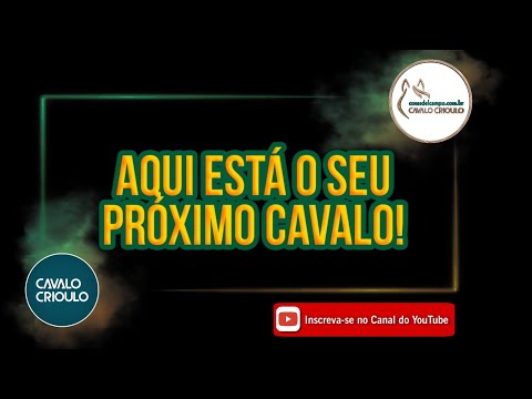 Oportunidade ???? Aqui está seu próximo Cavalo Crioulo.