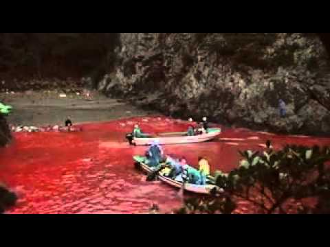 The Cove (2009) Trailer + Clips