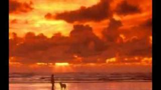 Steve Hillage - Hello Dawn