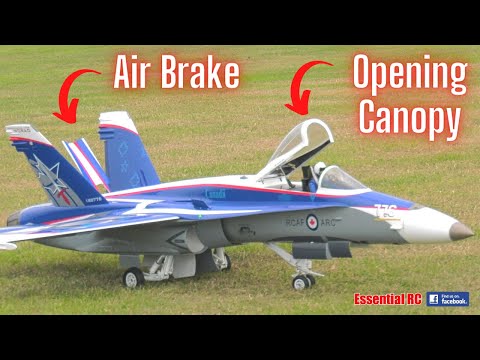 McDonnell Douglas F/A-18 Hornet | Azza Stephens | Southern Model Show 2022