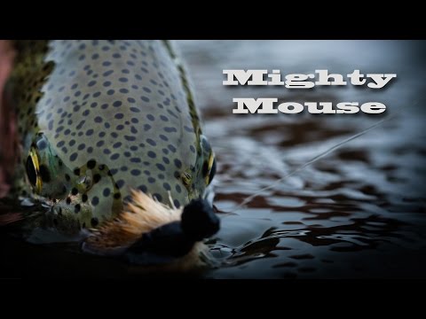 Alaska Mouse Fishing - Mighty Mouse - Aniak River Lodge