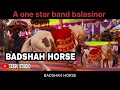 Badshah Horse Khokharvada A One Star Band Balasinor In Salun