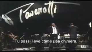 Luciano Pavarotti - La Mia Canzone al Vento (Lyrics) - FIFA Concert - 1990