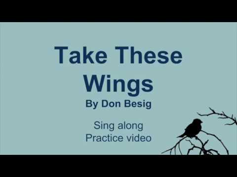 Take These Wings sing along video