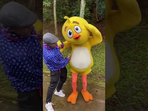 Coral das quebradas 🎶 17