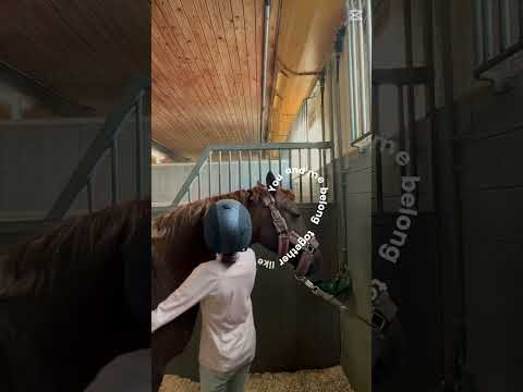 Helt obeskrivligt hur mycket jag älskar denna häst❤️‍🩹🫰🏻🥹 #horse #equestrian #capcut #fypviral