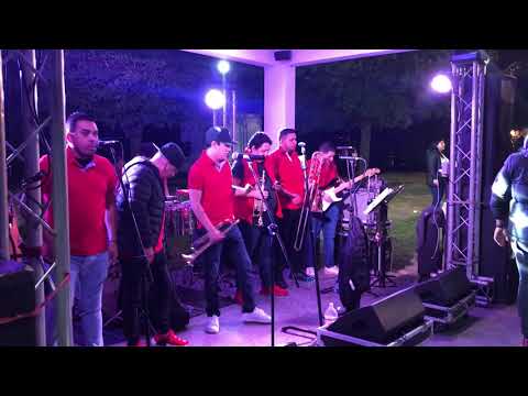 Reyes Vallenatos 👑 Te lo Creo (en vivo 2021) Like Music 🎶