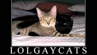 Slunt - My Cat's Gay