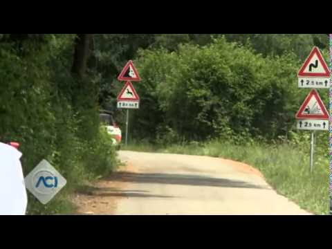 Campionato Italiano WRC 2014 - 31° Rally della Marca - PS 3-5