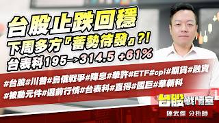 台股止跌回穩、下周多方『蓄勢待發』?!台表科195→314.5+61%#台股#川普#烏俄戰爭#降息#華許#ETF#cpi#期貨#被動元件#選前行情#台表科#直得#國巨#華新科｜小武哥投資事務所｜陳武傑 (圖)