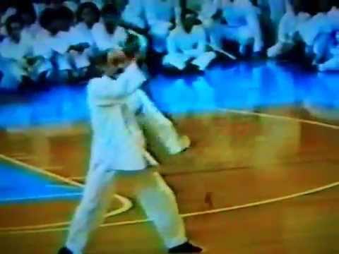 012 ANNI 80 SCUOLA CHANG DSU YAO