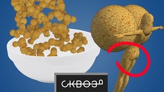О Таких Сухих Завтраках вы и не мечтали!