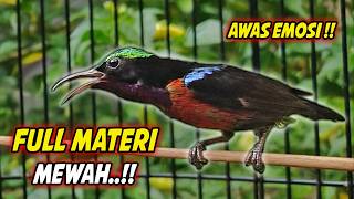 Download lagu KONIN GACOR FULL ISIAN ROLL TEMBAK MEWAH !! PANCINGAN KOLIBRI NINJA BAHAN AGAR CEPAT BUNYI ISIAN mp3