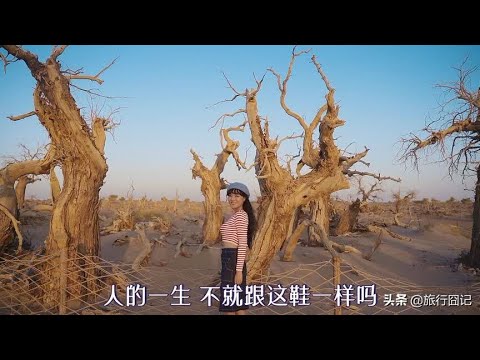 千里迢迢去看胡杨林到底值不值？川妹子爆笑解答