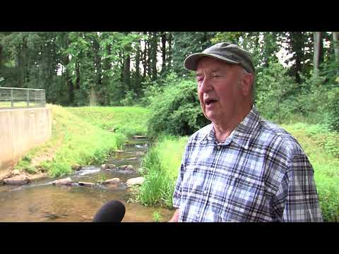 Wieviel Regen braucht die Lausitz?