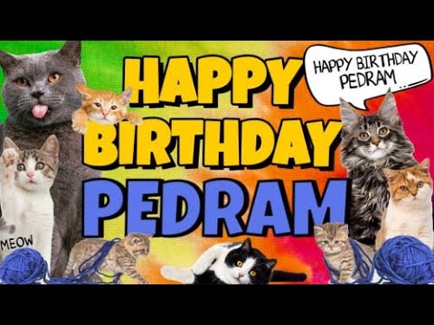 Happy Birthday Pedram! Crazy Cats Say Happy Birthday Pedram (Very Funny)