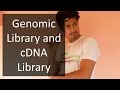 Gene Library Genomic Library And CDNA Library