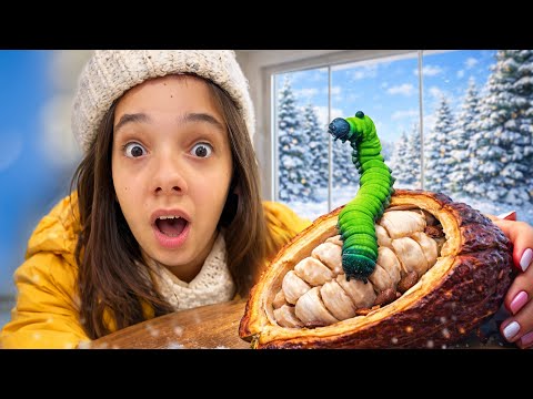 😱 MARA OPENED A COCOA FRUIT IN THE MIDDLE OF WINTER 😱❄️ WHAT'S HIDDEN INSIDE?!