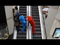 Elmo Vs Él Come Galletas