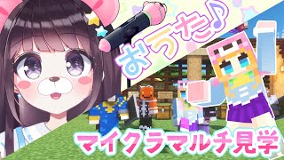 【ゆるゆる回】久しぶりにおうた歌ったりマイクラしたり！【Vtuber】